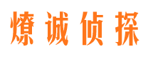 昂仁市调查公司